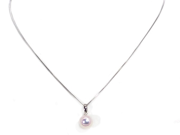 ̵Ĵ�� �����俿��ڥ����ȥȥåס�8.5mm��PT850 P-8493