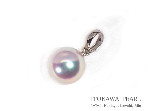 ̵Ĵ 俿ڥȥȥåס8.9mmPT850 P-8495