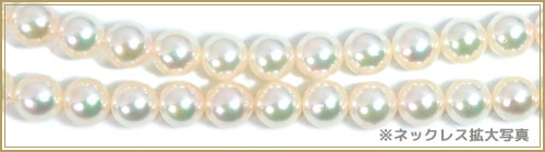 󥰥ͥå쥹(123cm)俿ͥå쥹6.57mmN-12285