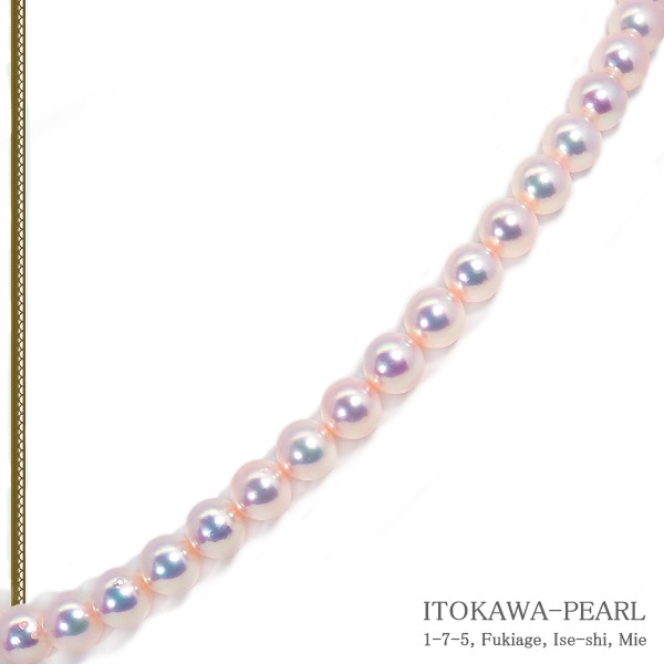 あこや真珠パールネックレス＜8～8.5mm＞N-12591
