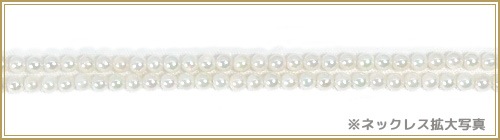 ٥ӡѡ󥰥ͥå쥹(81.5cm)俿ͥå쥹2.53mmN-12857