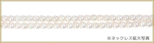 ٥ӡѡ󥰥ͥå쥹(81.5cm) 俿ͥå쥹2.53mmN-12856