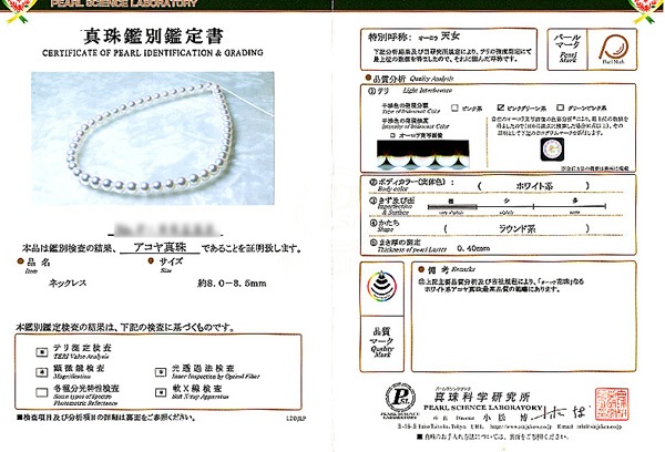 ��������ŷ�� �ּ��ͥå��쥹��8��8.5mm����̽��ա�N-12003