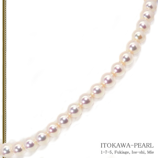 ̵Ĵ�� �ּ����俿��ͥå��쥹��8��8.5mm����̽��� N-12851