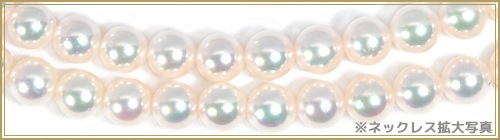 󥰥ͥå쥹(83cm) 俿ͥå쥹6.57mmN-12814