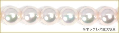 �ּ������åȤ����俿��ͥå��쥹��7.5mm����̽��� NE-2274