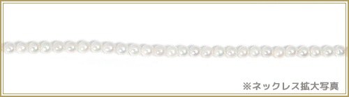 俿٥ӡѡͥå쥹2.53mm䥢㥹С N-12775