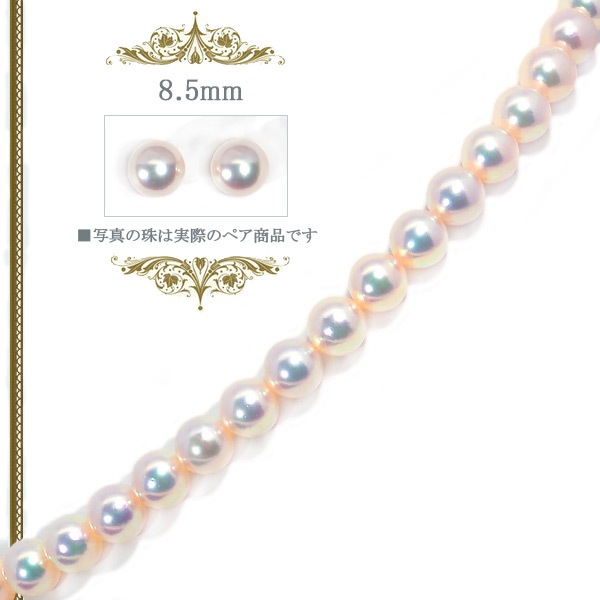 �ּ�����ƣ������åȤ����俿��ͥå��쥹��8.5mm����̽��� NE-2231