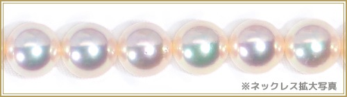 �ּ�����ƣ������åȤ����俿��ͥå��쥹��8.5mm����̽��� NE-2231