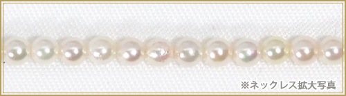 俿٥ӡѡͥå쥹2.53mm䥢㥹K14WG N-12784