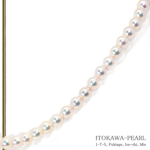 俿ѡͥå쥹6.57mmN-12862