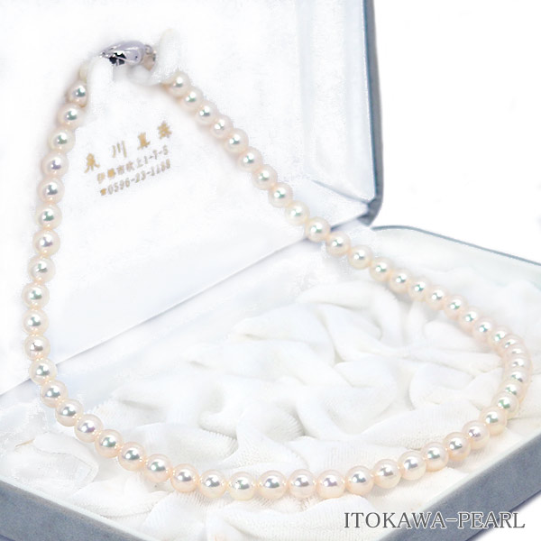 俿ѡͥå쥹6.57mmN-12862