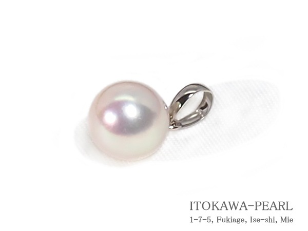 �����俿��ڥ����ȥȥåס�8.8mm��PT850 P-8497