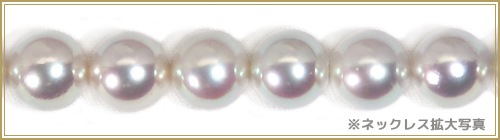 ¿㿿å 졼 俿ͥå쥹8.5mm̽ NE-2460