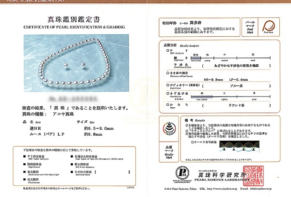 ¿㿿å 졼 俿ͥå쥹8.5mm̽ NE-2460