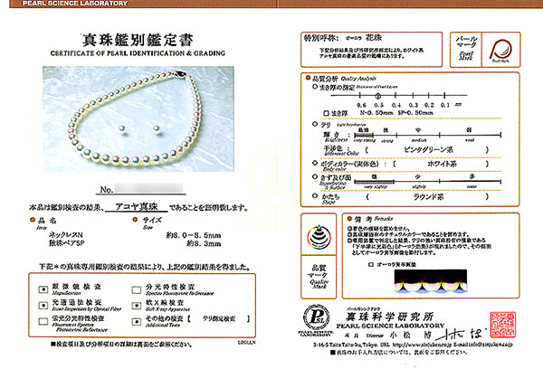 ̵Ĵ ּåȡ8mm̽ NE-2030