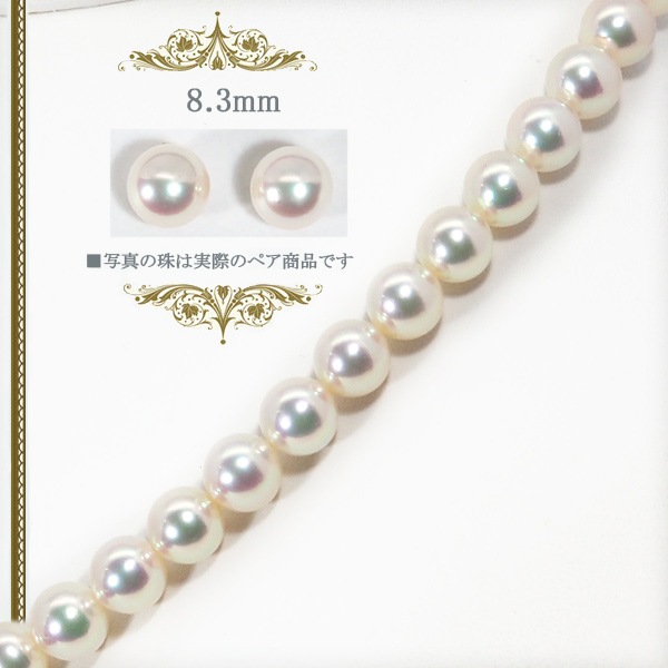 ̵Ĵ ּåȡ8mm̽ NE-2030