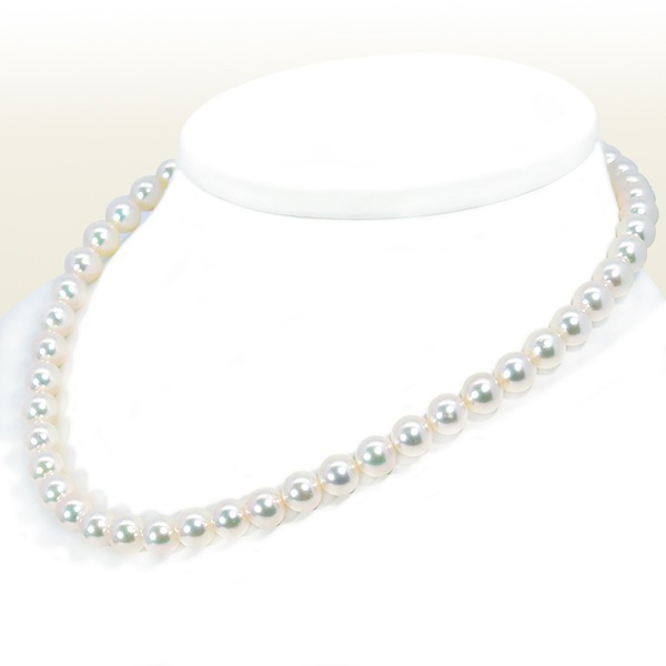 俿ѡͥå쥹88.5mmN-12913