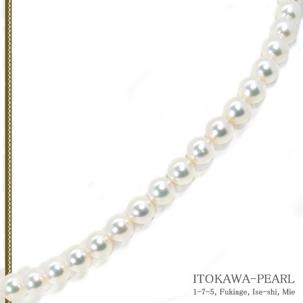 俿ѡͥå쥹88.5mmN-12913