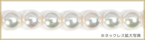 俿ѡͥå쥹88.5mmN-12913