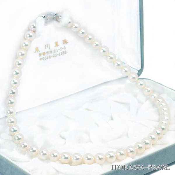 俿ѡͥå쥹88.5mmN-12913