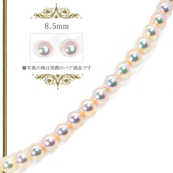 ̵Ĵ�� �ּ������åȤ����俿��ͥå��쥹��8mm����̽��� NE-2032