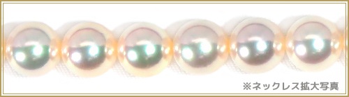 ̵Ĵ�� �ּ������åȤ����俿��ͥå��쥹��8mm����̽��� NE-2032