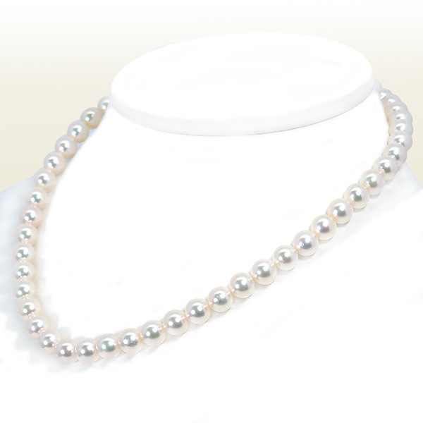 俿ѡͥå쥹88.5mmN-12912