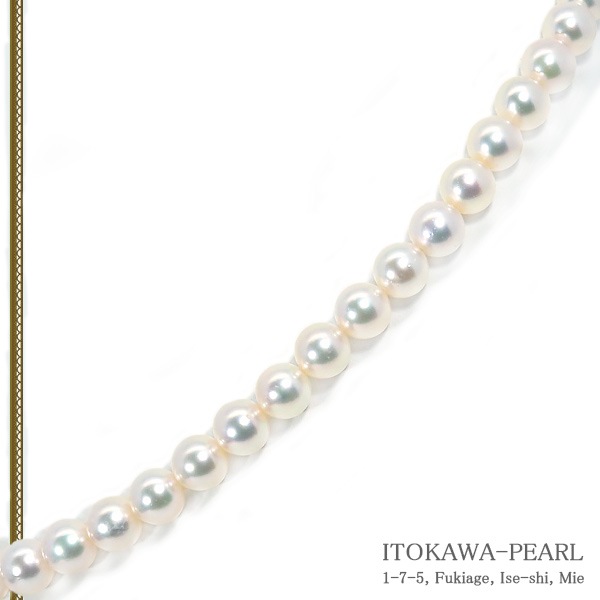 俿ѡͥå쥹88.5mmN-12912