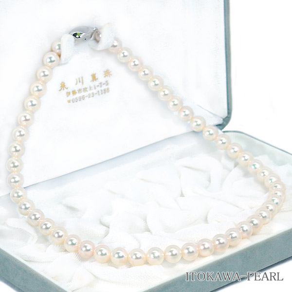 俿ѡͥå쥹88.5mmN-12912