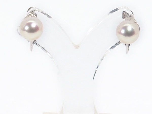 �����俿����󥰡�8mm��ͥ��Хͼ�������С� E-4820