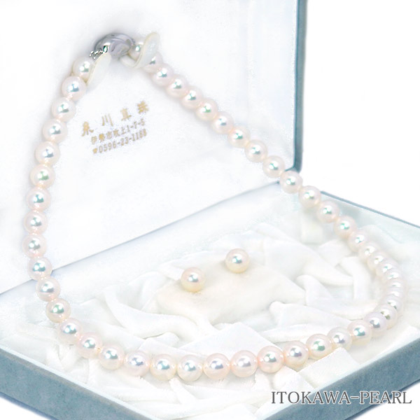 åȤ俿ͥå쥹8mm NE-2441