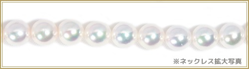 åȤ俿ͥå쥹8mm NE-2441