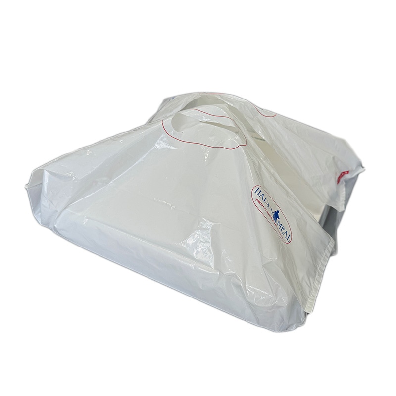 10インチSKバック デリシャス №10（100枚入）