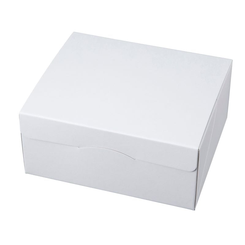 IKパンセールBOX本体250×210（10枚/100枚入）