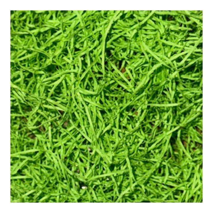 カラーパッキン グリーン1kg