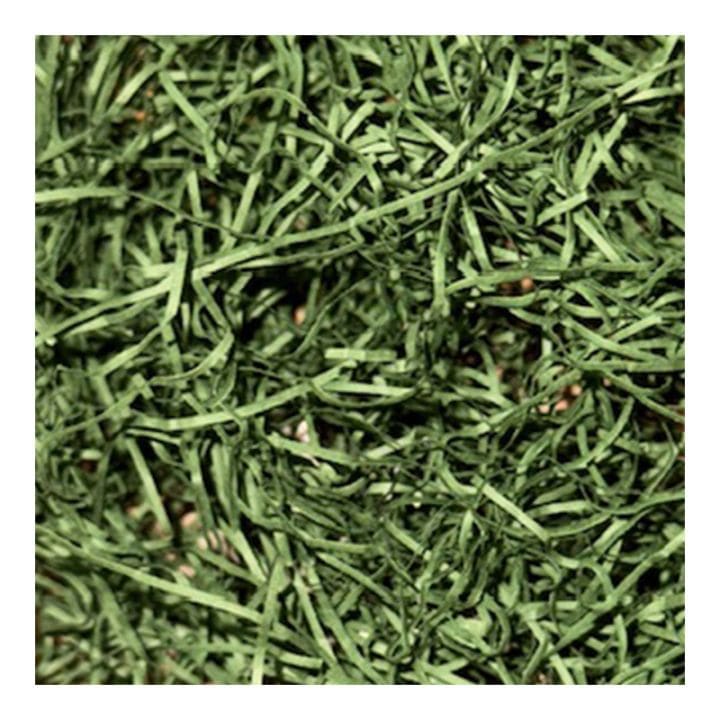 カラーパッキン オリーブ 1kg