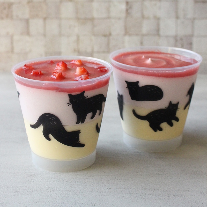 バイオマスプラカップ IK80φ220 グランPP バイオ10 くろねこ（25