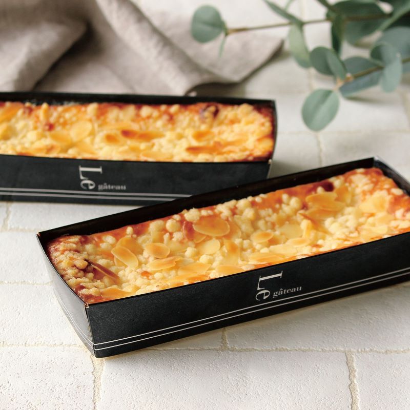 カラートレー 176 ル・ガトー （50枚入） | カラートレー | 伊藤景