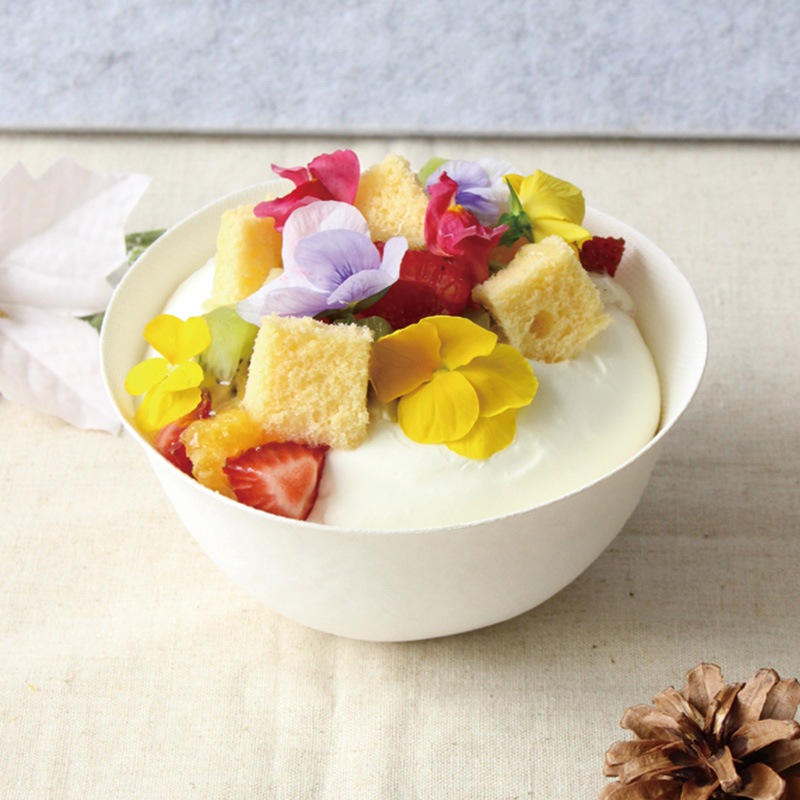 WASARA ボウル DM-007R （50個入）