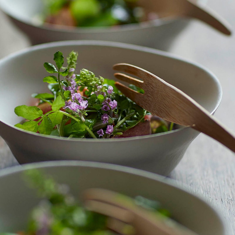 WASARA 鉢 DM-016Ａ （25個入）