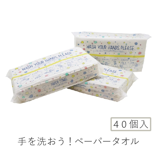 業務用 手を洗おう!ペーパータオル 220×230mm ダブル 120組(240枚) 40パック ソフトタイプ 50120001