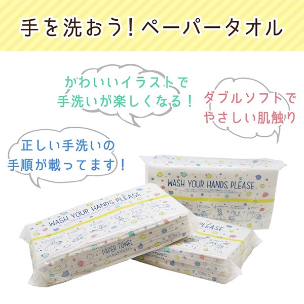 業務用 手を洗おう!ペーパータオル 220×230mm ダブル 120組(240枚) 40パック ソフトタイプ 50120001