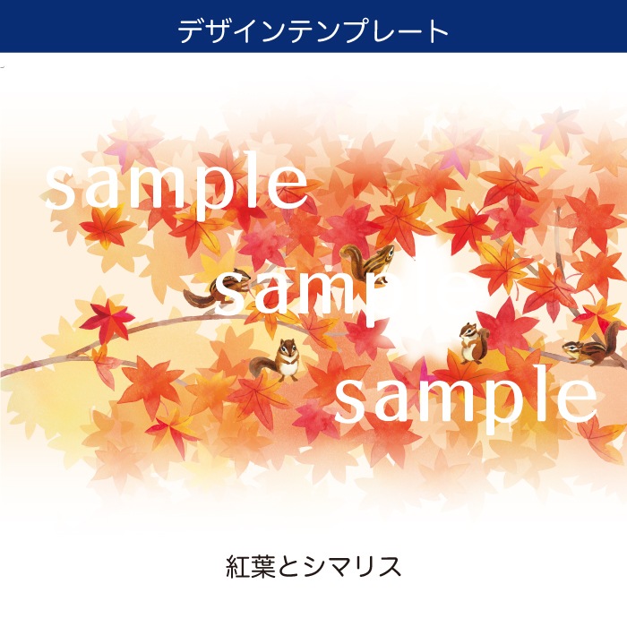 オリジナルプリントロール 紅葉デザイン（対応フォント：ADSそよかぜ） トイレットペーパー 100個単位 27.5m ダブル 芯あり 107mm幅 再生紙 10700003