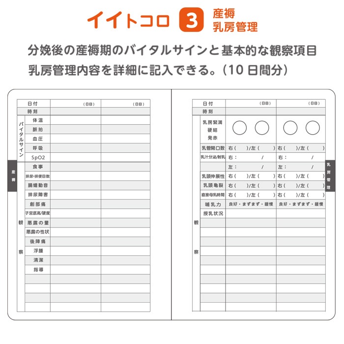 母性看護学生 実習用 ノート 5冊入 80001015 バイタルサイン アプガースコア 分娩記録 産褥期 IST 大阪