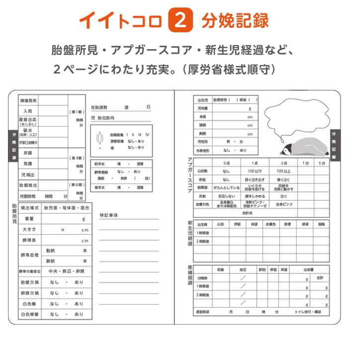 母性看護学生 実習用 ノート 5冊入 80001015 バイタルサイン アプガースコア 分娩記録 産褥期 IST 大阪