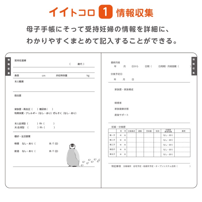 母性看護学生 実習用 ノート 10冊入 80001016 バイタルサイン