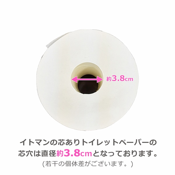 業務用 トイレットペーパー シングル 100m 12ロール 6パック いつもより2倍長持ち 有芯 スリム幅(107mm) ミシン目なし 無香料 10100015 長持ち まとめ買い 日本製