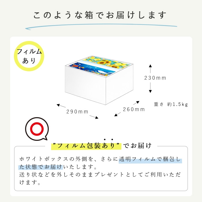 【会員様限定価格 4月21日09:59まで】2026年 ハッピーサマーセット 夏 10001167 [ギフト][熨斗対応]