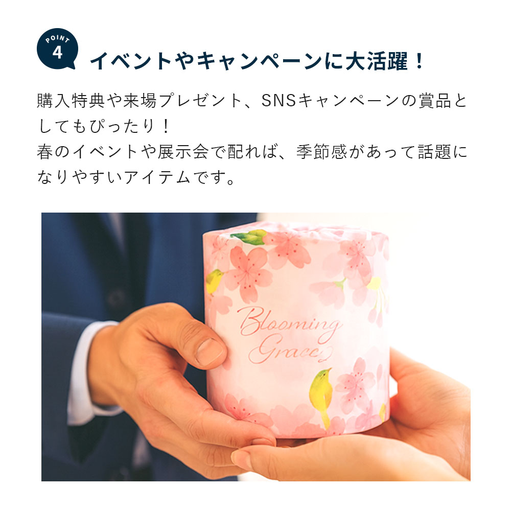 トイレットペーパー ダブル 27.5m 100ロール スプリングトイレット 春 桜 無香料 10055352 [ギフト]